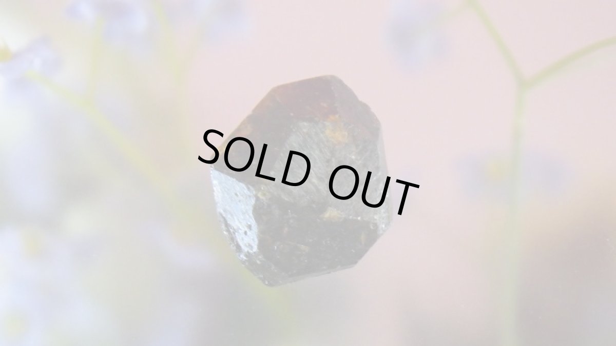 画像2: スペサルティン（満礬柘榴石） (2)