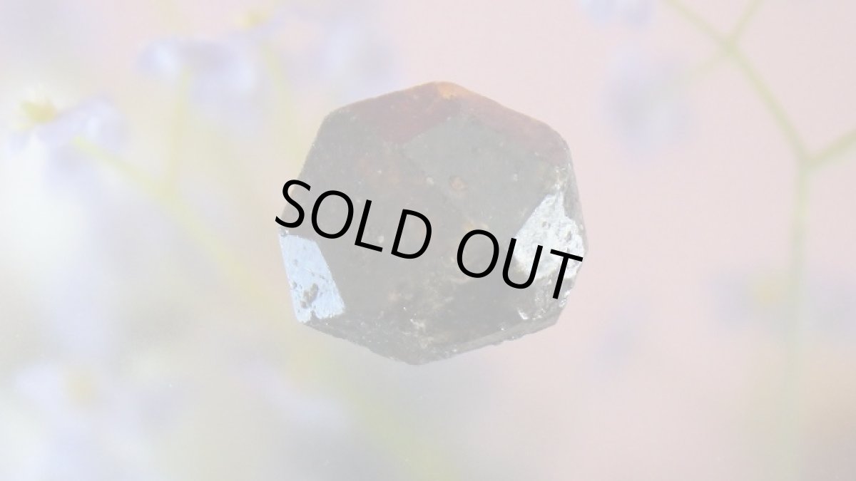 画像3: スペサルティン（満礬柘榴石） (3)