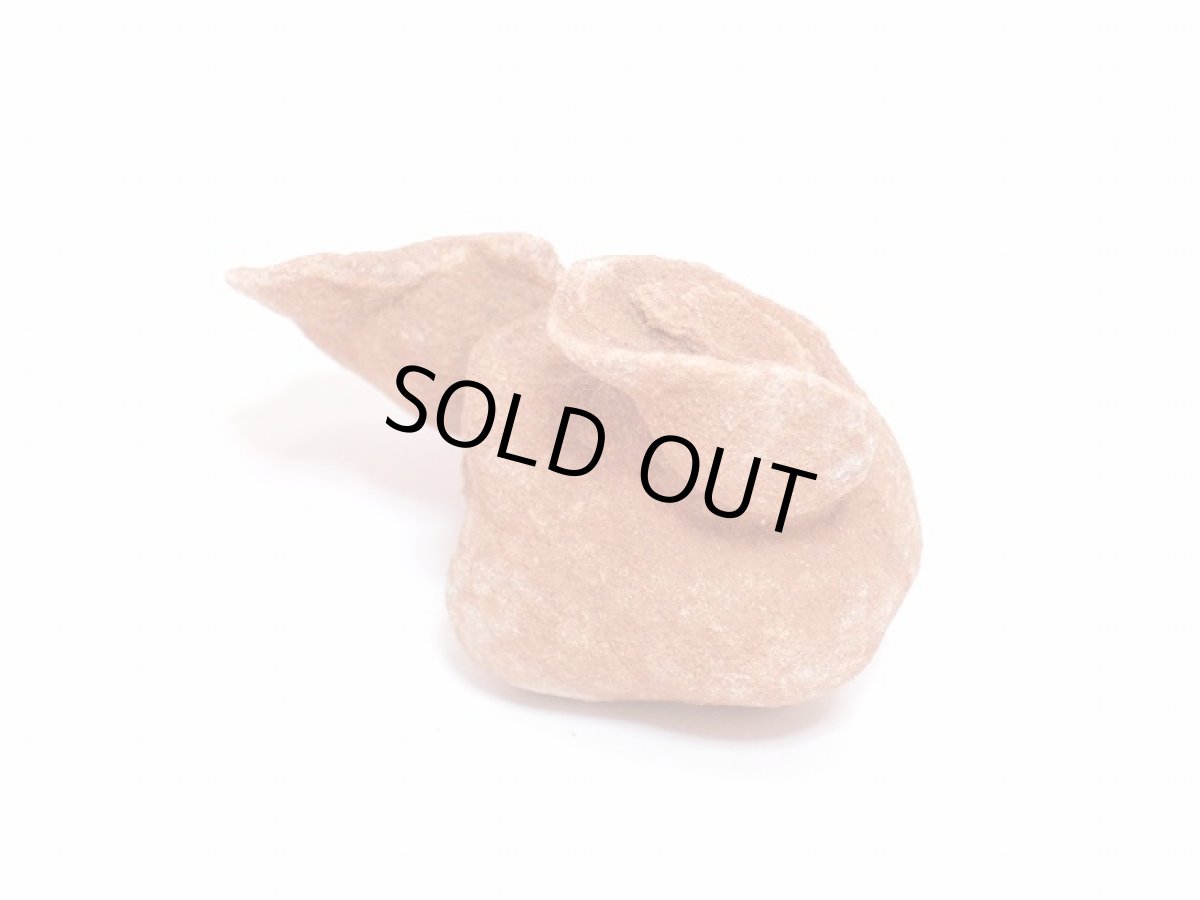 画像4: ストロマトライト 波状結晶 (4)