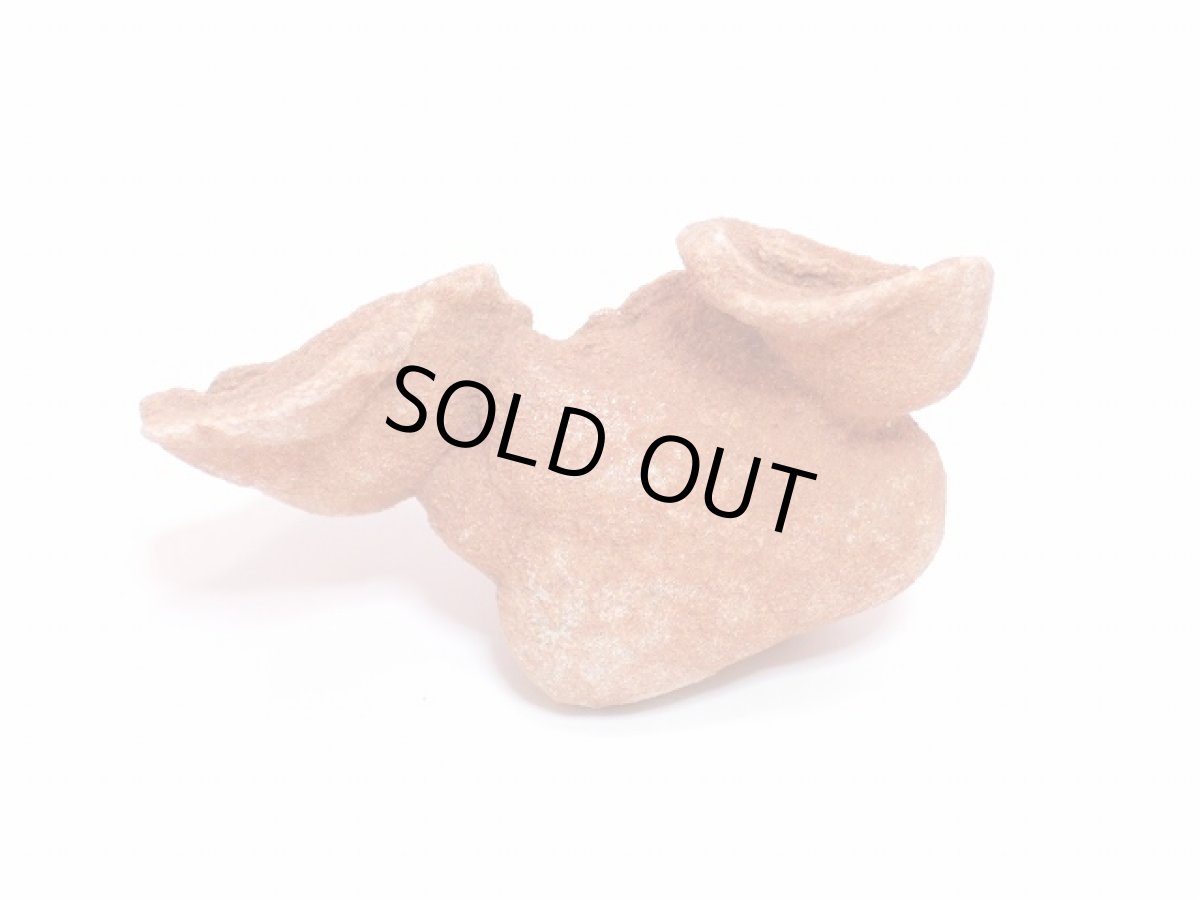 画像5: ストロマトライト 波状結晶 (5)