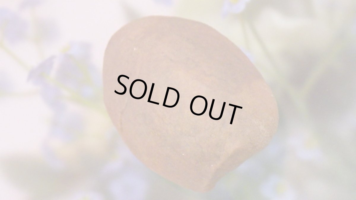 画像3: ストロマトライト 波状結晶 (3)