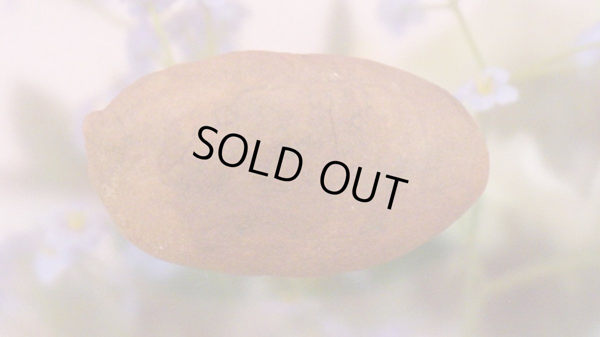 画像4: ストロマトライト 波状結晶 (4)