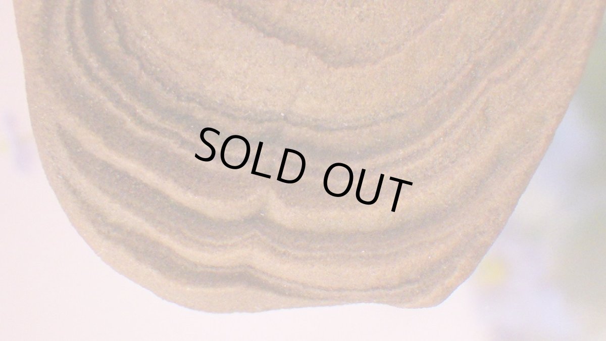 画像7: ストロマトライト 波状結晶 (7)