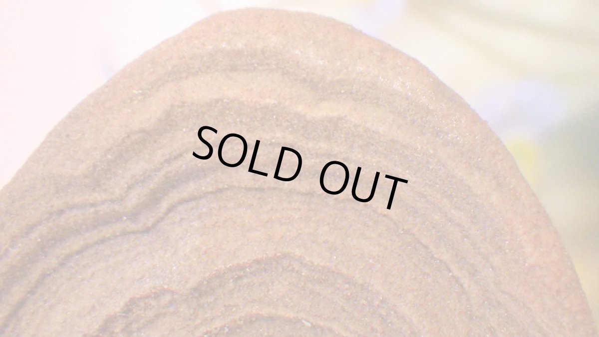 画像8: ストロマトライト 波状結晶 (8)