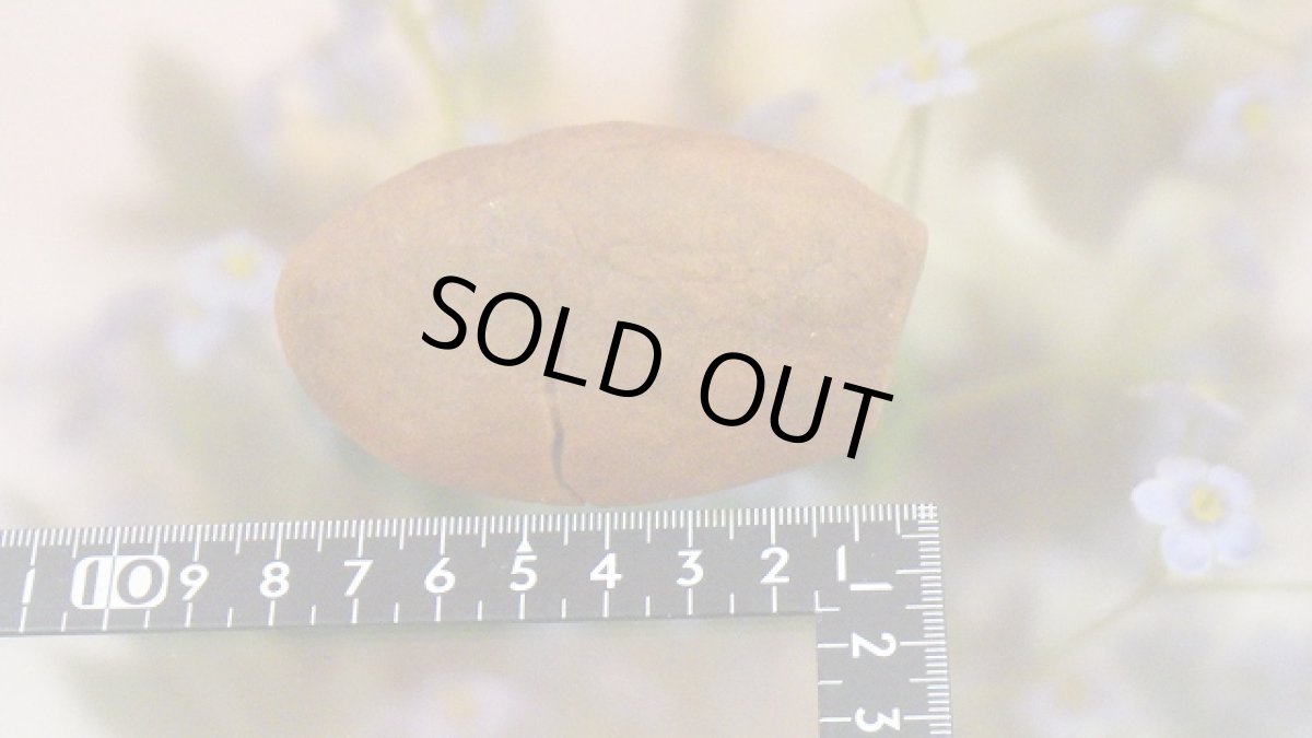 画像9: ストロマトライト 波状結晶 (9)