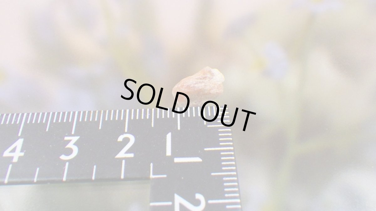 画像7: サンストーン（日長石）  (7)