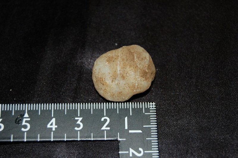 画像2: 水晶(ジオード)ペア 9g