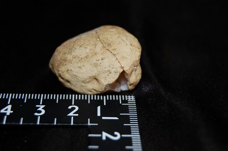 画像2: 水晶(ジオード)ペア 18g