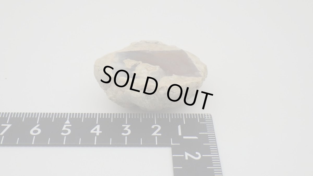 画像6: サンダーエッグ（ジオード） (6)