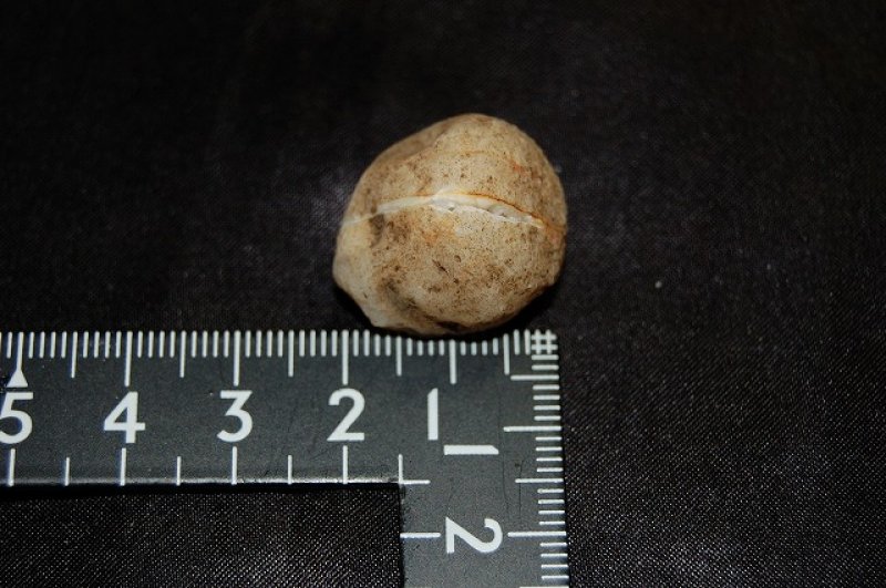 画像2: 水晶（ジオード）ペア 7g