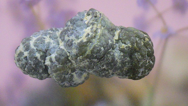 オパール（蛋白石）ノジュール